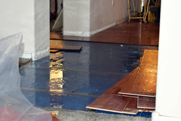 Professional Burst Pipe Cleanup technician working in Pendleton, IN